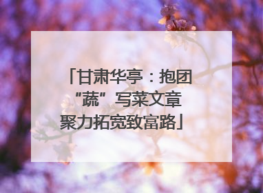 甘肃华亭：抱团“蔬”写菜文章 聚力拓宽致富路