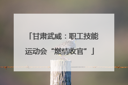 甘肃武威：职工技能运动会“燃情收官”