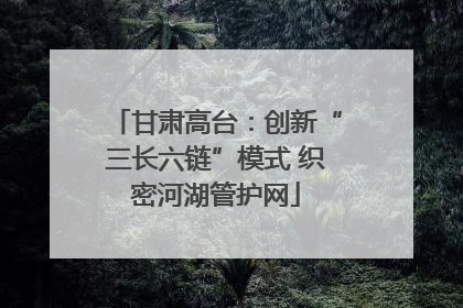 甘肃高台：创新“三长六链”模式 织密河湖管护网