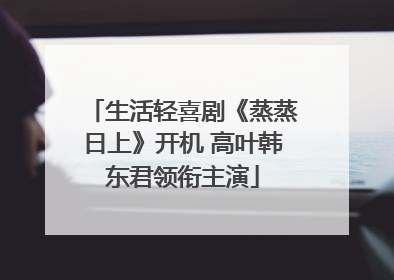 生活轻喜剧《蒸蒸日上》开机 高叶韩东君领衔主演