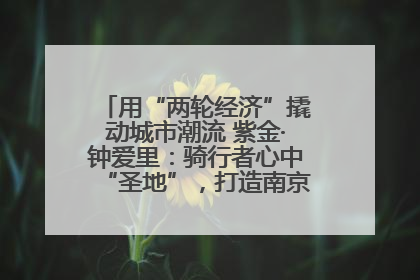 用“两轮经济”撬动城市潮流 紫金·钟爱里：骑行者心中“圣地”，打造南京的“阿那亚”