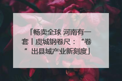 畅卖全球 河南有一套丨虞城钢卷尺：“卷”出县域产业新刻度