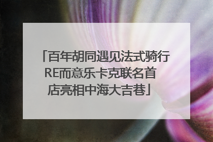 百年胡同遇见法式骑行 RE而意乐卡克联名首店亮相中海大吉巷