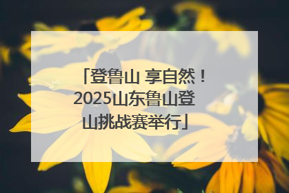 登鲁山 享自然！2025山东鲁山登山挑战赛举行