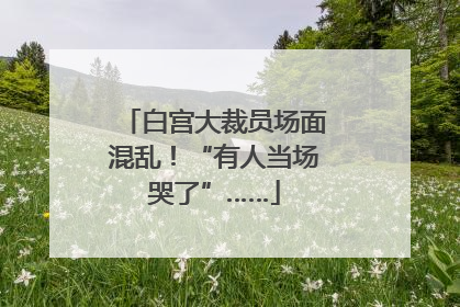 白宫大裁员场面混乱！“有人当场哭了”……
