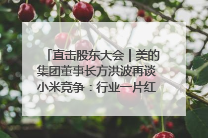 直击股东大会｜美的集团董事长方洪波再谈小米竞争：行业一片红海，打法已固定，无论谁胜都是消耗战