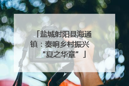 盐城射阳县海通镇：奏响乡村振兴“夏之华章”