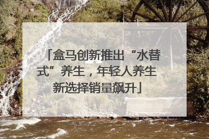 盒马创新推出“水替式”养生，年轻人养生新选择销量飙升