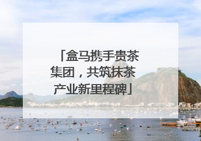 盒马携手贵茶集团，共筑抹茶产业新里程碑