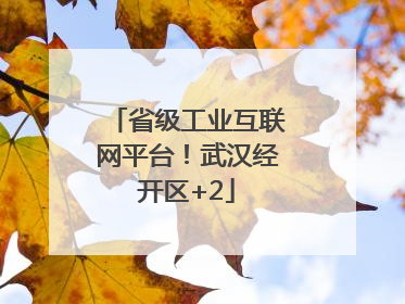 省级工业互联网平台！武汉经开区+2