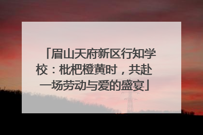 眉山天府新区行知学校：枇杷橙黄时，共赴一场劳动与爱的盛宴