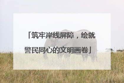 筑牢岸线屏障，绘就警民同心的文明画卷