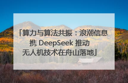 算力与算法共振：浪潮信息携 DeepSeek 推动无人机技术在舟山落地