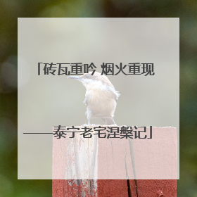 砖瓦重吟 烟火重现——泰宁老宅涅槃记