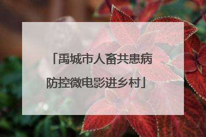 禹城市人畜共患病防控微电影进乡村