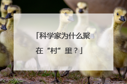 科学家为什么聚在“村”里？
