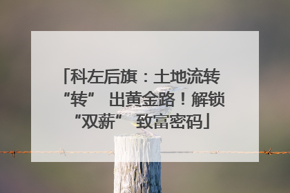 科左后旗：土地流转 “转” 出黄金路！解锁 “双薪” 致富密码