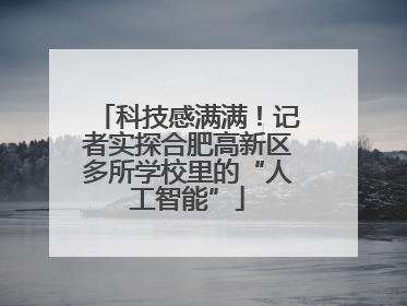 科技感满满！记者实探合肥高新区多所学校里的“人工智能”