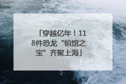 穿越亿年！118件恐龙“镇馆之宝”齐聚上海