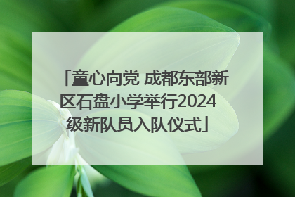 童心向党 成都东部新区石盘小学举行2024级新队员入队仪式