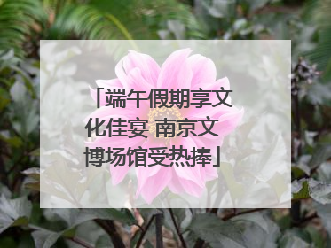 端午假期享文化佳宴 南京文博场馆受热捧