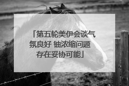 第五轮美伊会谈气氛良好 铀浓缩问题存在妥协可能