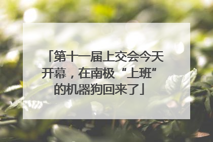 第十一届上交会今天开幕，在南极“上班”的机器狗回来了