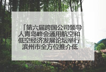 第六届跨国公司领导人青岛峰会通用航空和低空经济发展论坛举行 滨州市全方位推介低空经济发展优势