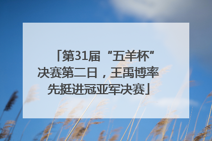 第31届“五羊杯”决赛第二日，王禹博率先挺进冠亚军决赛