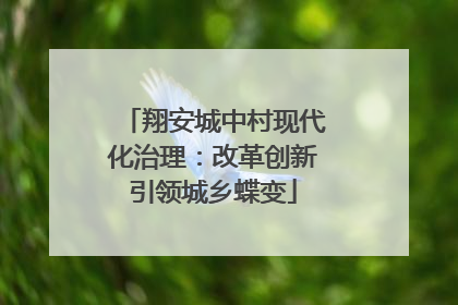 翔安城中村现代化治理：改革创新引领城乡蝶变