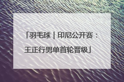 羽毛球｜印尼公开赛：王正行男单首轮晋级