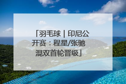 羽毛球｜印尼公开赛：程星/张驰混双首轮晋级
