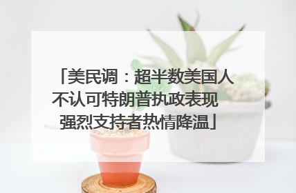 美民调：超半数美国人不认可特朗普执政表现 强烈支持者热情降温
