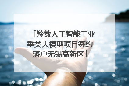 羚数人工智能工业垂类大模型项目签约落户无锡高新区