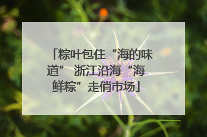 粽叶包住“海的味道” 浙江沿海“海鲜粽”走俏市场