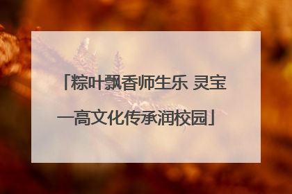 粽叶飘香师生乐 灵宝一高文化传承润校园
