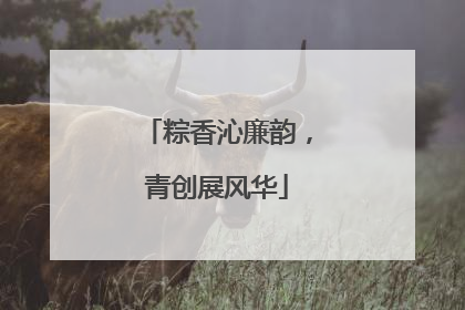 粽香沁廉韵，青创展风华