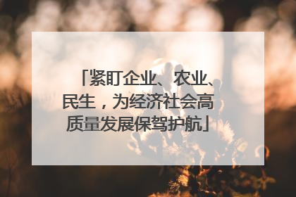 紧盯企业、农业、民生，为经济社会高质量发展保驾护航