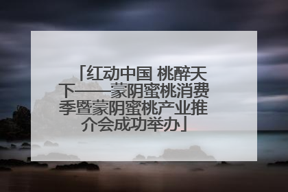 红动中国 桃醉天下——蒙阴蜜桃消费季暨蒙阴蜜桃产业推介会成功举办