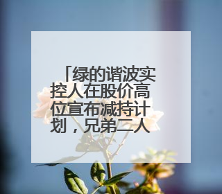 绿的谐波实控人在股价高位宣布减持计划，兄弟二人套现或超7亿元