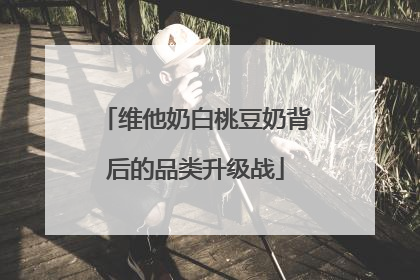 维他奶白桃豆奶背后的品类升级战