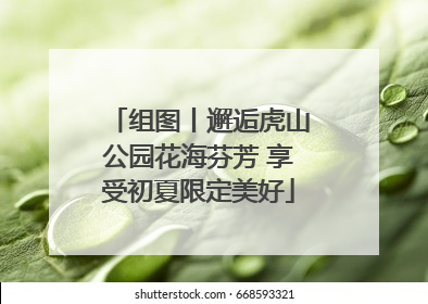 组图丨邂逅虎山公园花海芬芳 享受初夏限定美好