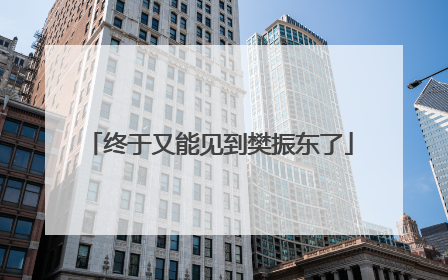 终于又能见到樊振东了