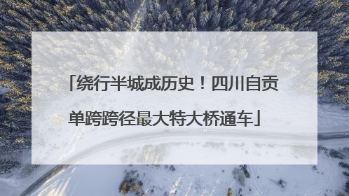 绕行半城成历史！四川自贡单跨跨径最大特大桥通车