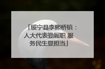 绥宁县李熙桥镇：人大代表勤履职 服务民生显担当