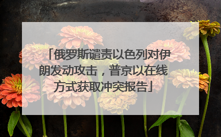 俄罗斯谴责以色列对伊朗发动攻击，普京以在线方式获取冲突报告