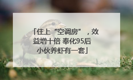 住上“空调房”，效益增十倍 奉化95后小伙养虾有一套