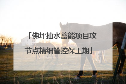 佛坪抽水蓄能项目攻节点精细管控保工期