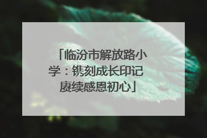 临汾市解放路小学：镌刻成长印记 赓续感恩初心