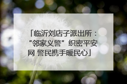 临沂刘店子派出所：“邻家义警”织密平安网 警民携手暖民心